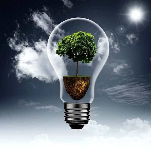 Россия сократила выбросы CO₂