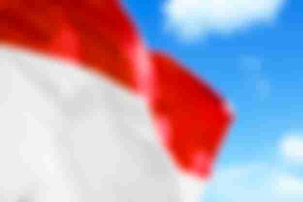 Антидемпинговое расследование началось в Индонезии